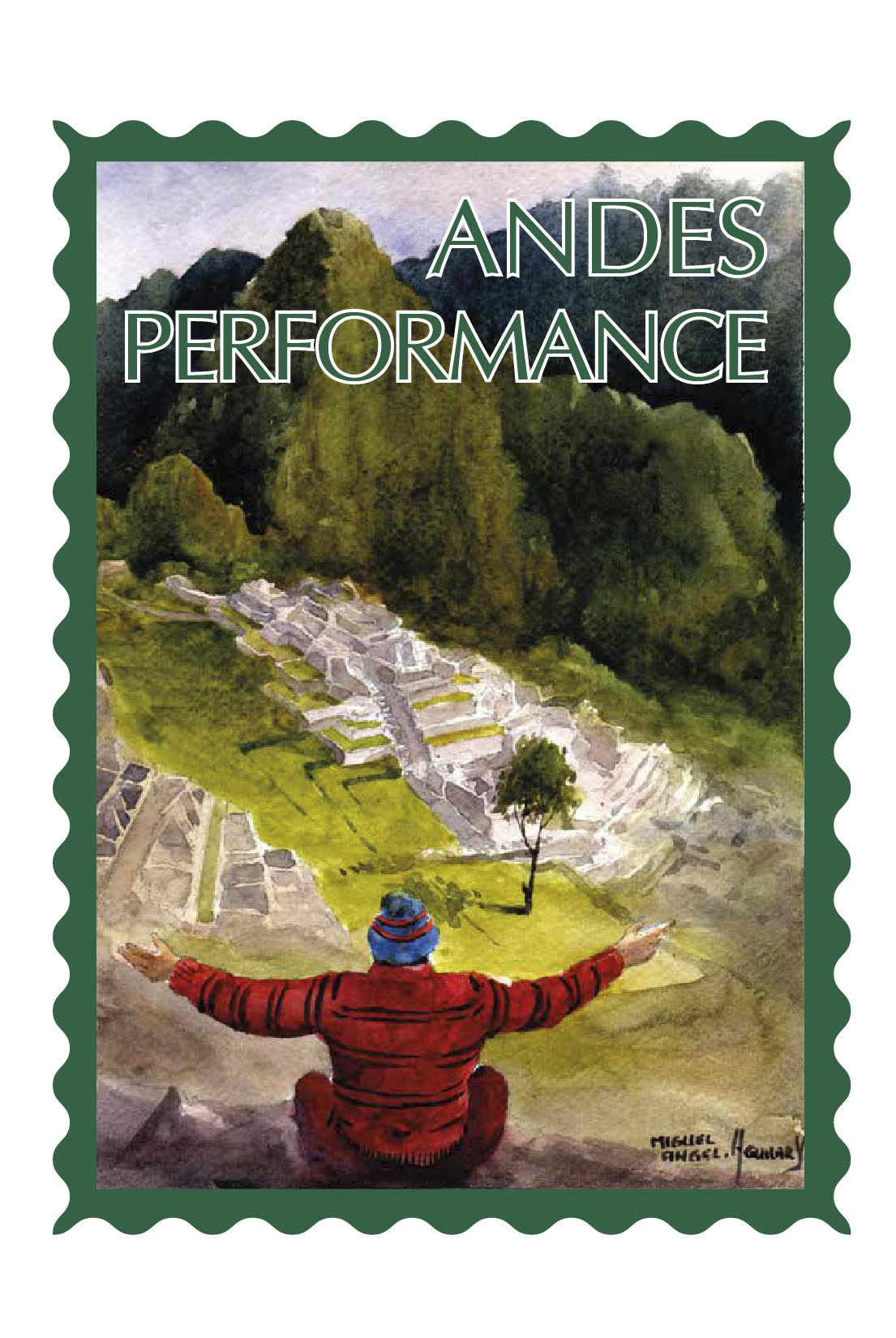 Andes Performance Alpaca Yarns Collection