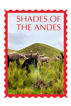 Legacy Alpaca Yarns Collection