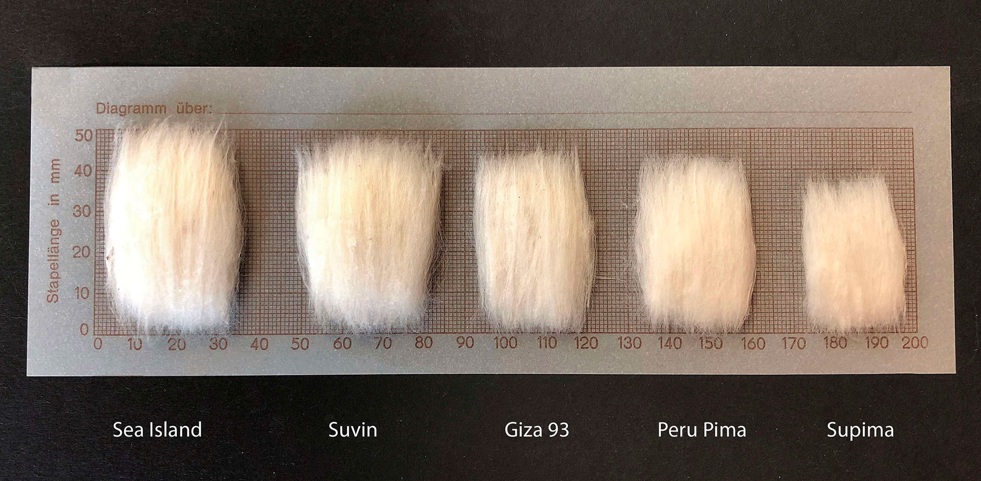 West Indian Sea Island Cotton Yarns